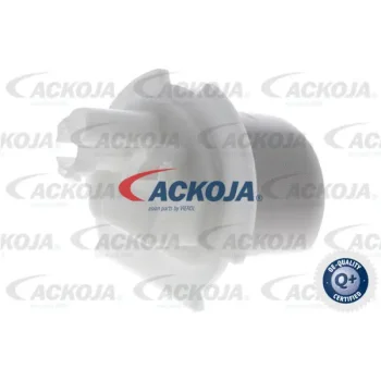 ACKOJA A53-0303