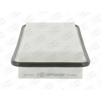CHAMPION CAF100828P