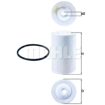 WILMINK GROUP WG1368667