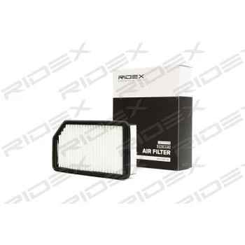 RIDEX 8A0191
