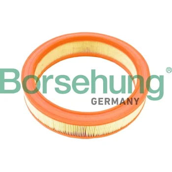 Borsehung B18012