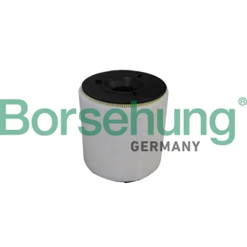 Borsehung B10539