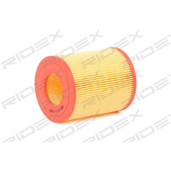 RIDEX 8A0094