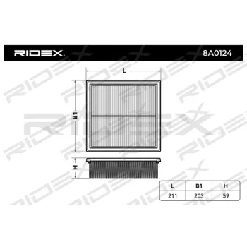 RIDEX 8A0124