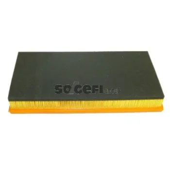Fram-Au CA8829