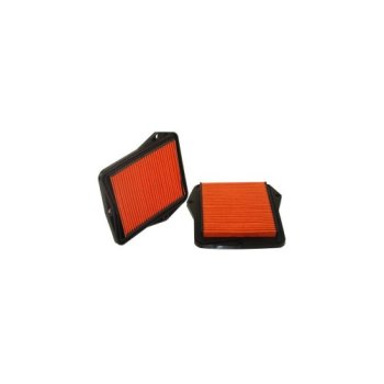 FRA 145/757 MAYERS FILTER Воздушный фильтр