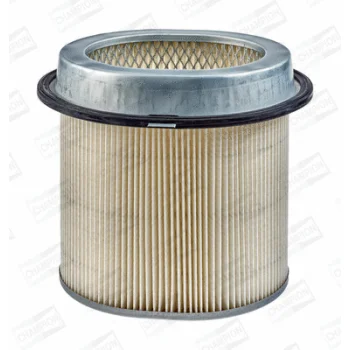 CHAMPION CAF100436C