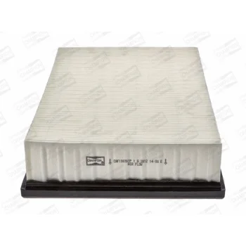 CHAMPION CAF100781P