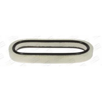 CHAMPION CAF100228R