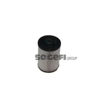 Fram-Au C10448ECO