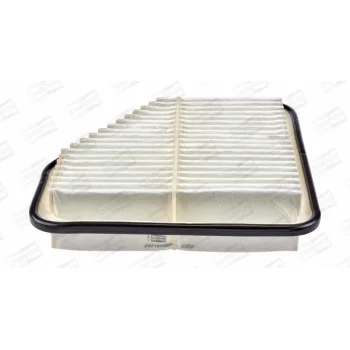 CHAMPION CAF100920P