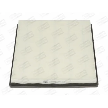 CHAMPION CAF100599P