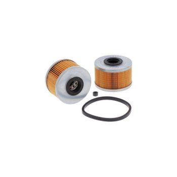 FG 098 PRO FILTERS Топливный фильтр
