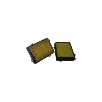 CA 4381 FRAM Воздушный фильтр