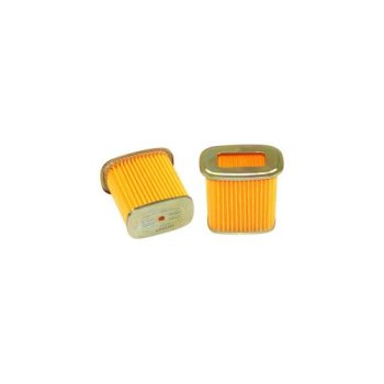 FRA 138/303 MAYERS FILTER Воздушный фильтр