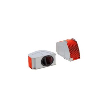 FRA 145/258 MAYERS FILTER Воздушный фильтр