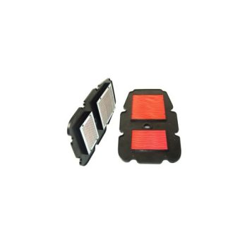 FRA 145/301 MAYERS FILTER Воздушный фильтр